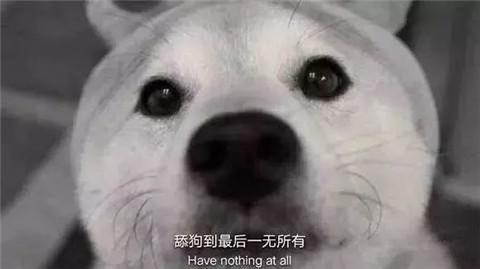 舔狗经典语录，舔狗日记配文