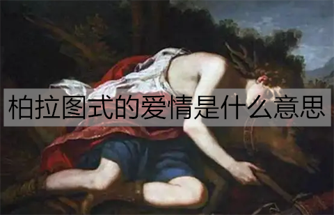 柏拉图式的爱情的意思是？指的是同性恋吗？