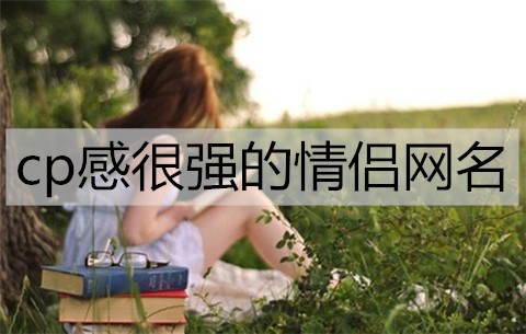cp感非常强的情侣网名，高甜萌系情侣网名