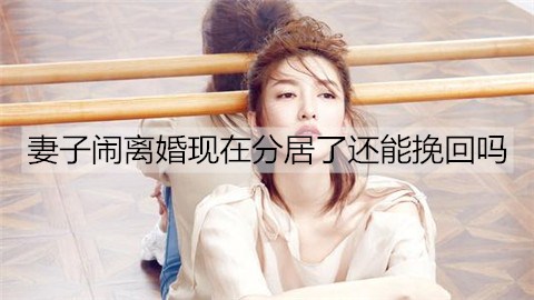 老婆闹离婚目前分居了，还可以挽回吗?