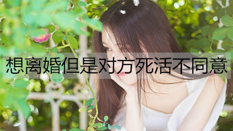想离婚但他们死活不认可，该如何解决？
