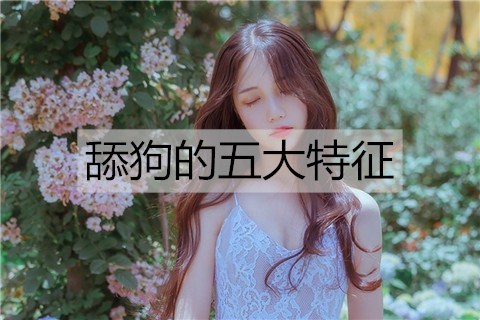 舔狗的意思是？舔狗的五大特点